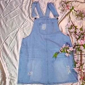 Overall Dress/Skirt